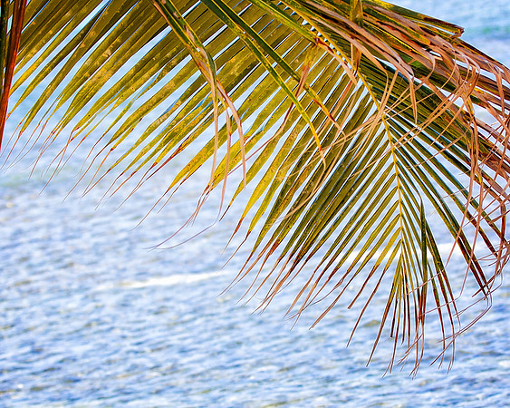 Jamaica - 055