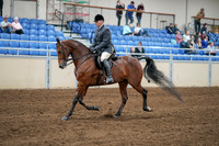 2020 - AB Morgan Horse - Sat, Sept 05 - 06875