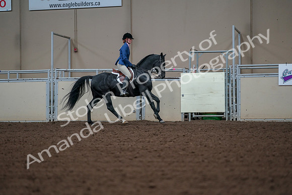 2019 Morgan Horse Show - Aug 30, 2019 - 18616