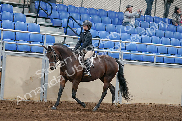 2020 - AB Morgan Horse - Sat, Sept 05 - 14396