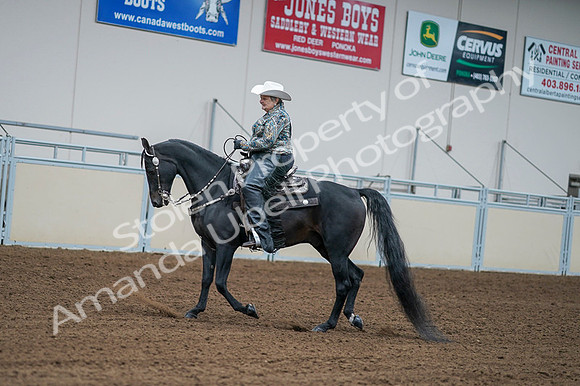 2020 - AB Morgan Horse - Fri, Sept 04 - 03597