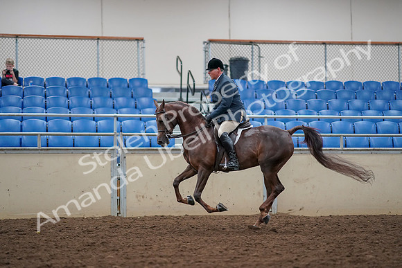 2019 Morgan Horse Show - Aug 30, 2019 - 17482