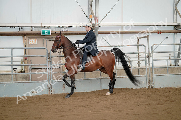 July 21, 2019 - 01669