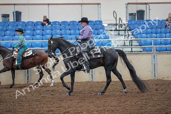 2019 Morgan Horse Show - Aug 30, 2019 - 16888
