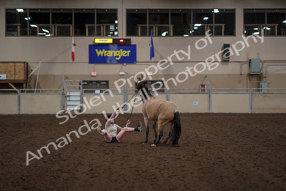 2019 Morgan Horse Show - Aug 30, 2019 - 31272