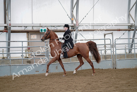 July 21, 2019 - 10480