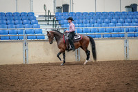 2019 Morgan Horse Show - Aug 30, 2019 - 22701