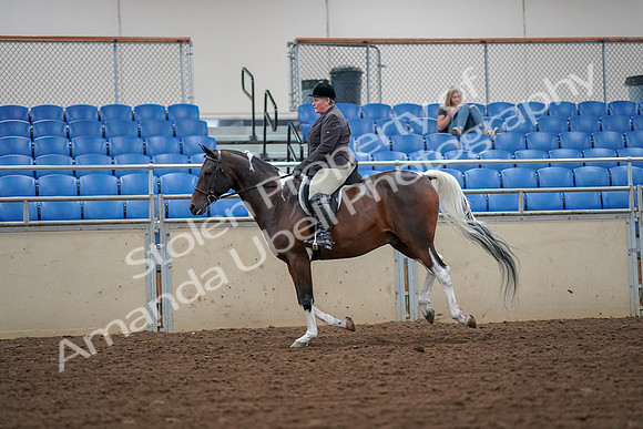 2019 Morgan Horse Show - Aug 30, 2019 - 16340