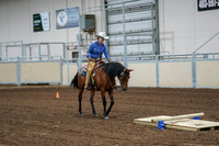 2020 - AB Morgan Horse - Fri, Sept 04 - 00219