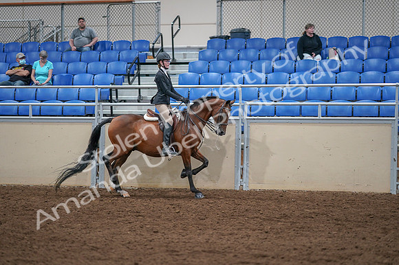 2020 - AB Morgan Horse - Fri, Sept 04 - 06129