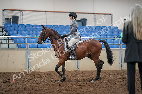 2019 Morgan Horse Show - Aug 30, 2019 - 23195
