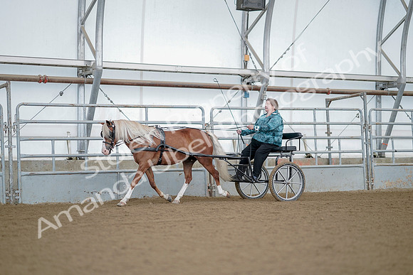 July 21, 2019 - 06491