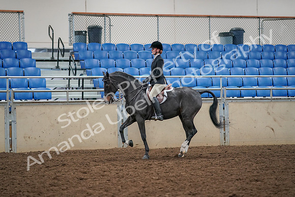 2019 Morgan Horse Show - Aug 30, 2019 - 23420