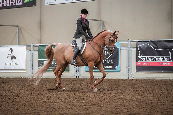 Spring Fling - Saturday - April 20, 2019  -  04624