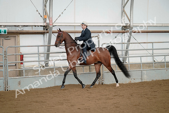 July 21, 2019 - 01659