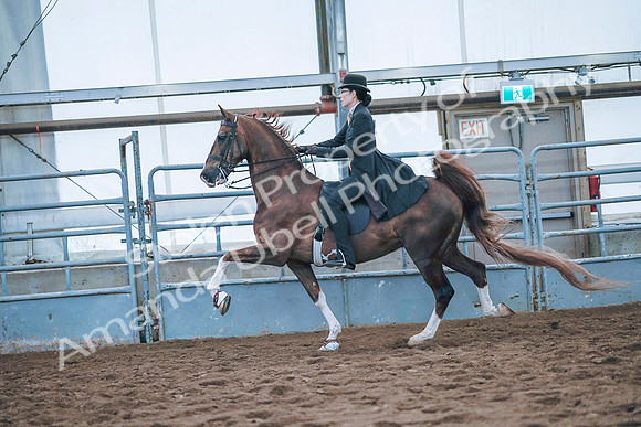 July 20, 2019 - 24160