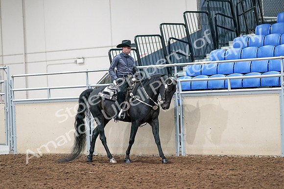 2020 - AB Morgan Horse - Fri, Sept 04 - 08459