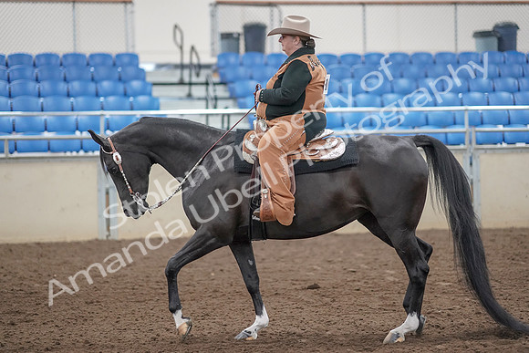 2019 Morgan Horse Show - Aug 31, 2019 - 06029
