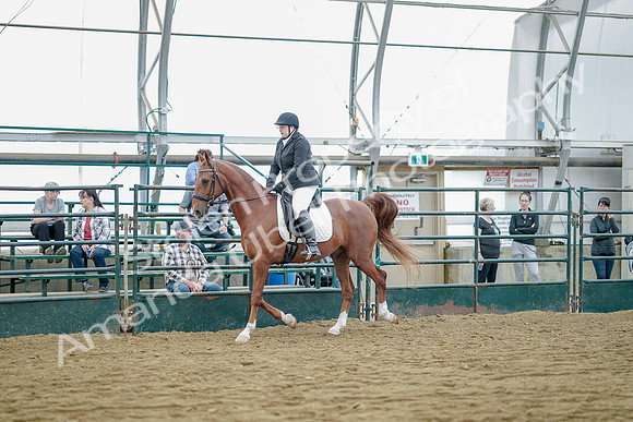 July 21, 2019 - 09589