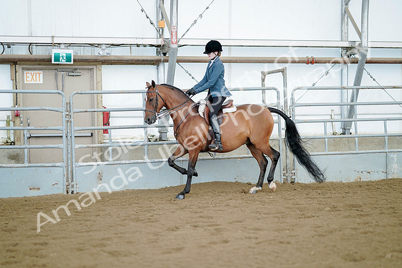 July 21, 2019 - 03304