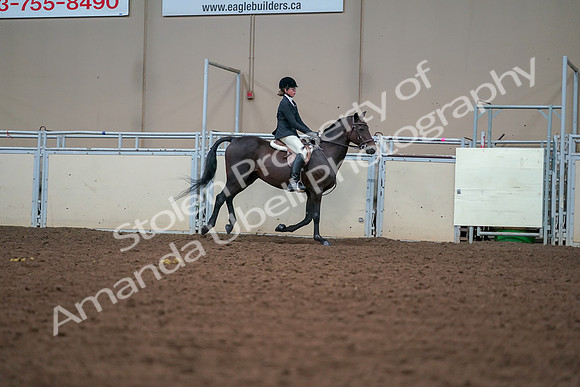 2019 Morgan Horse Show - Aug 30, 2019 - 21074
