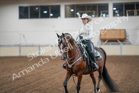 2020 - AB Morgan Horse - Sun, Sept 06 - 07617