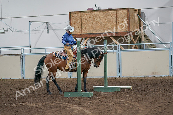 2020 - AB Morgan Horse - Fri, Sept 04 - 00122
