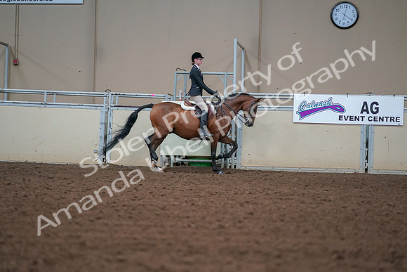 2019 Morgan Horse Show - Aug 30, 2019 - 20919