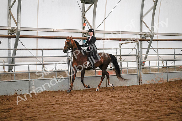July 19, 2019 - 8763