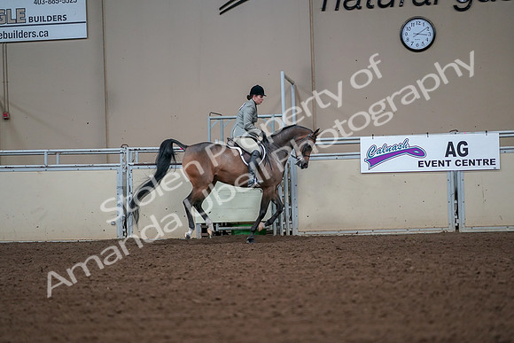 2019 Morgan Horse Show - Aug 30, 2019 - 17615