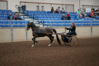 2019 Morgan Horse Show - Aug 31, 2019 - 04225