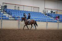 2019 Morgan Horse Show - Aug 30, 2019 - 12666