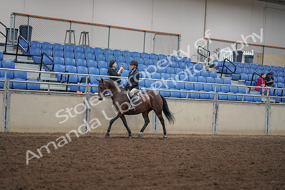 2019 Morgan Horse Show - Aug 30, 2019 - 12666