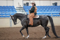 2019 Morgan Horse Show - Aug 31, 2019 - 06028