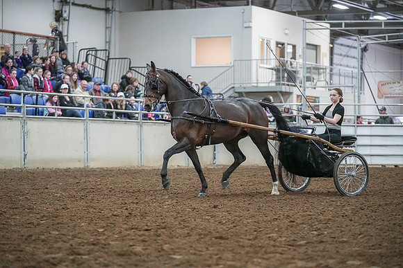 Spring Fling - Saturday - April 20, 2019  -  00224