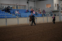 2019 Morgan Horse Show - Aug 30, 2019 - 24645