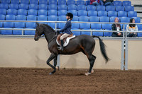 2020 - AB Morgan Horse - Sat, Sept 05 - 10608