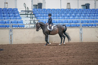 2019 Morgan Horse Show - Sept 01, 2019 - 05493