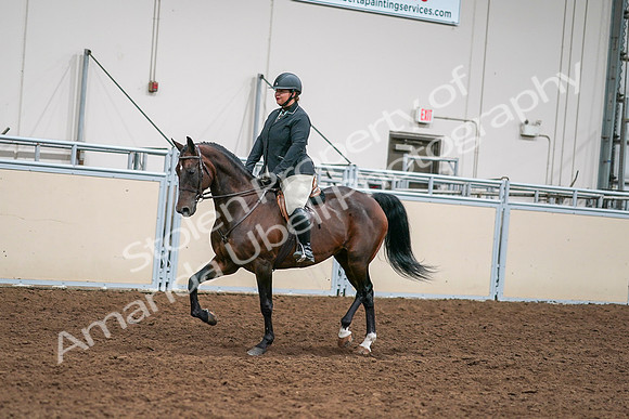 2020 - AB Morgan Horse - Sat, Sept 05 - 09325