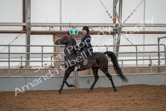 July 20, 2019 - 04207