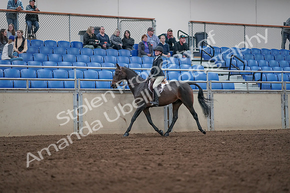 2019 Morgan Horse Show - Aug 31, 2019 - 20417