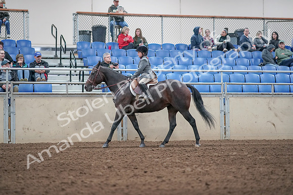 2019 Morgan Horse Show - Aug 31, 2019 - 19452