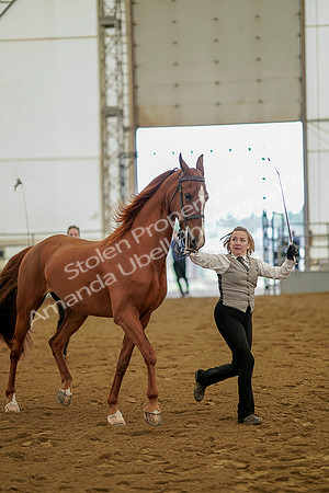 July 19, 2019 - 1101