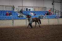 2019 Morgan Horse Show - Aug 30, 2019 - 25682