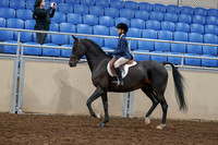 2020 - AB Morgan Horse - Sun, Sept 06 - 07677