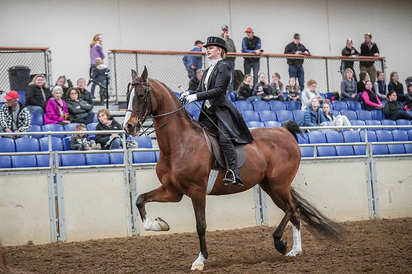 Spring Fling - Saturday - April 20, 2019  -  04114