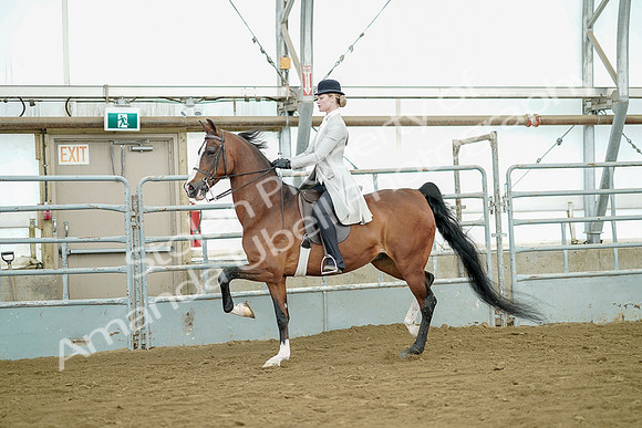 July 20, 2019 - 07780
