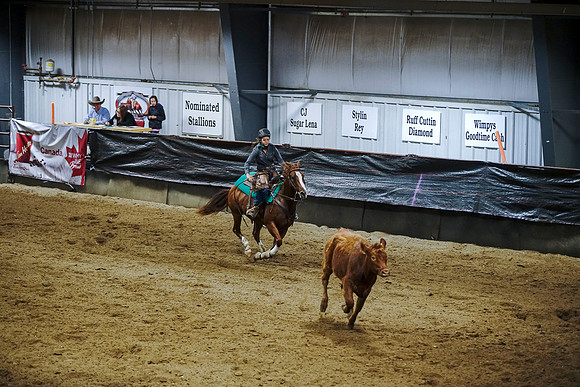 DSC09303