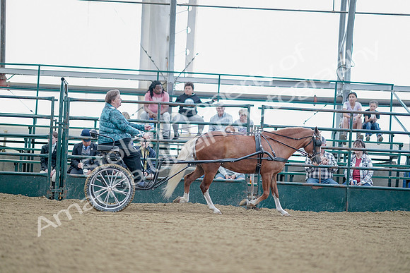 July 21, 2019 - 09035