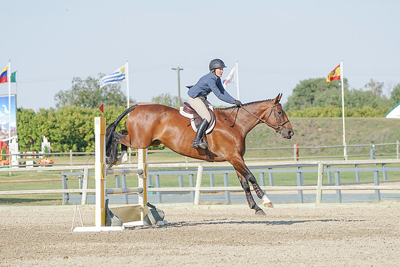 DSC02980